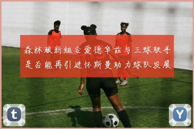 森林狼新组合爱德华兹与三球联手是否能再引进怀斯曼助力球队发展